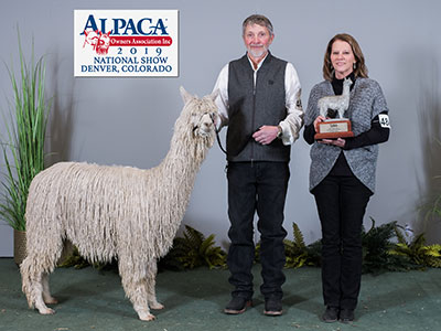 RDE's Maserati Limited Edition