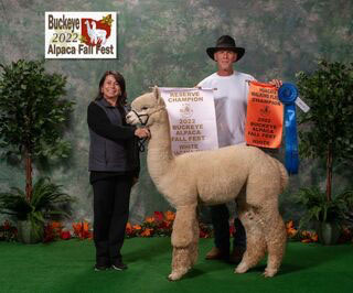 3DR Castellanos Mark Adams