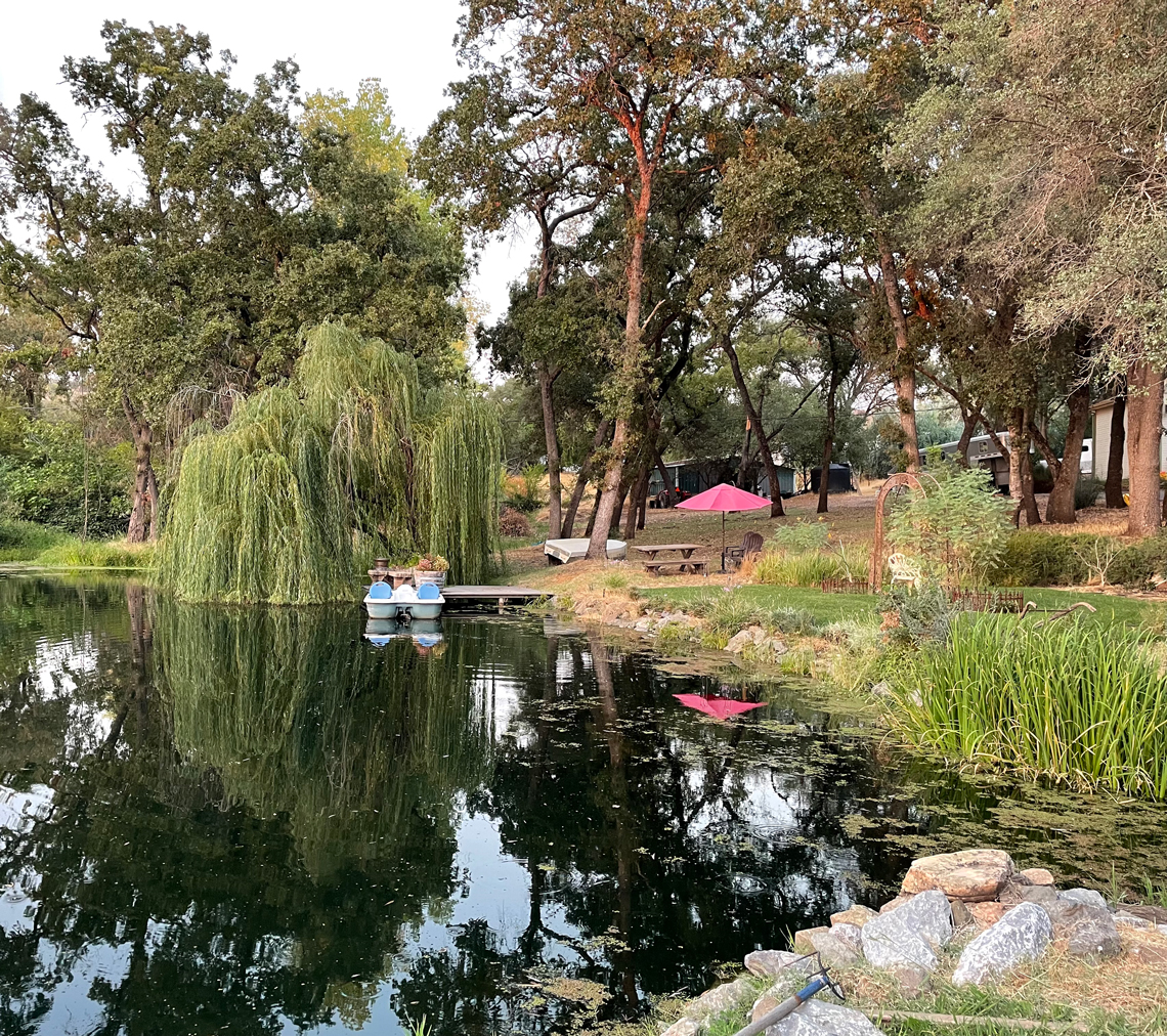 Unwind at the farm in one of our scenic locations.