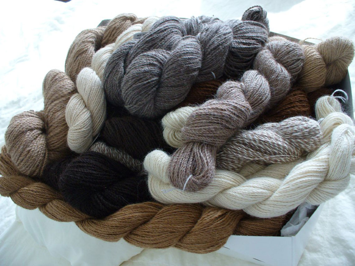 A sampling of the yarn available from our herd of huacayas.