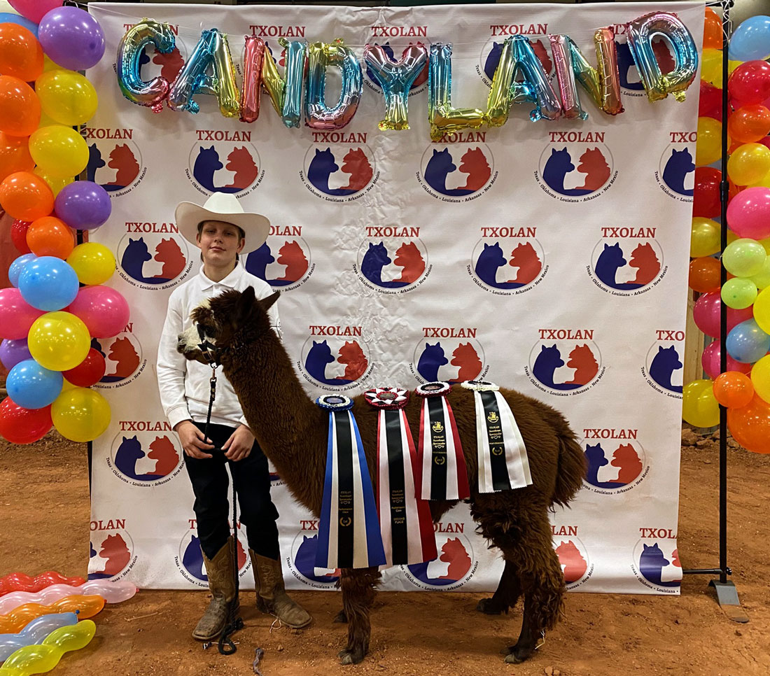 Youth Mentorship opportunities at Alpaca Fun Farm