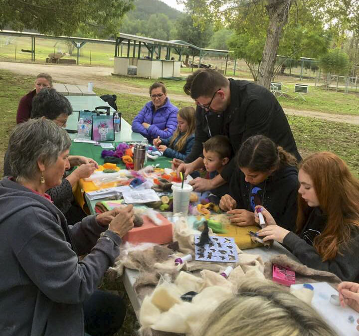 group of people learning how to felt alpaca fiber