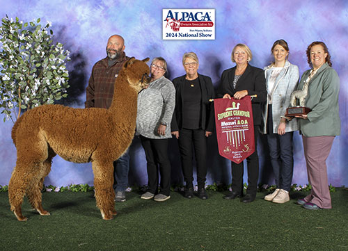AMAF Queen Elizabeth