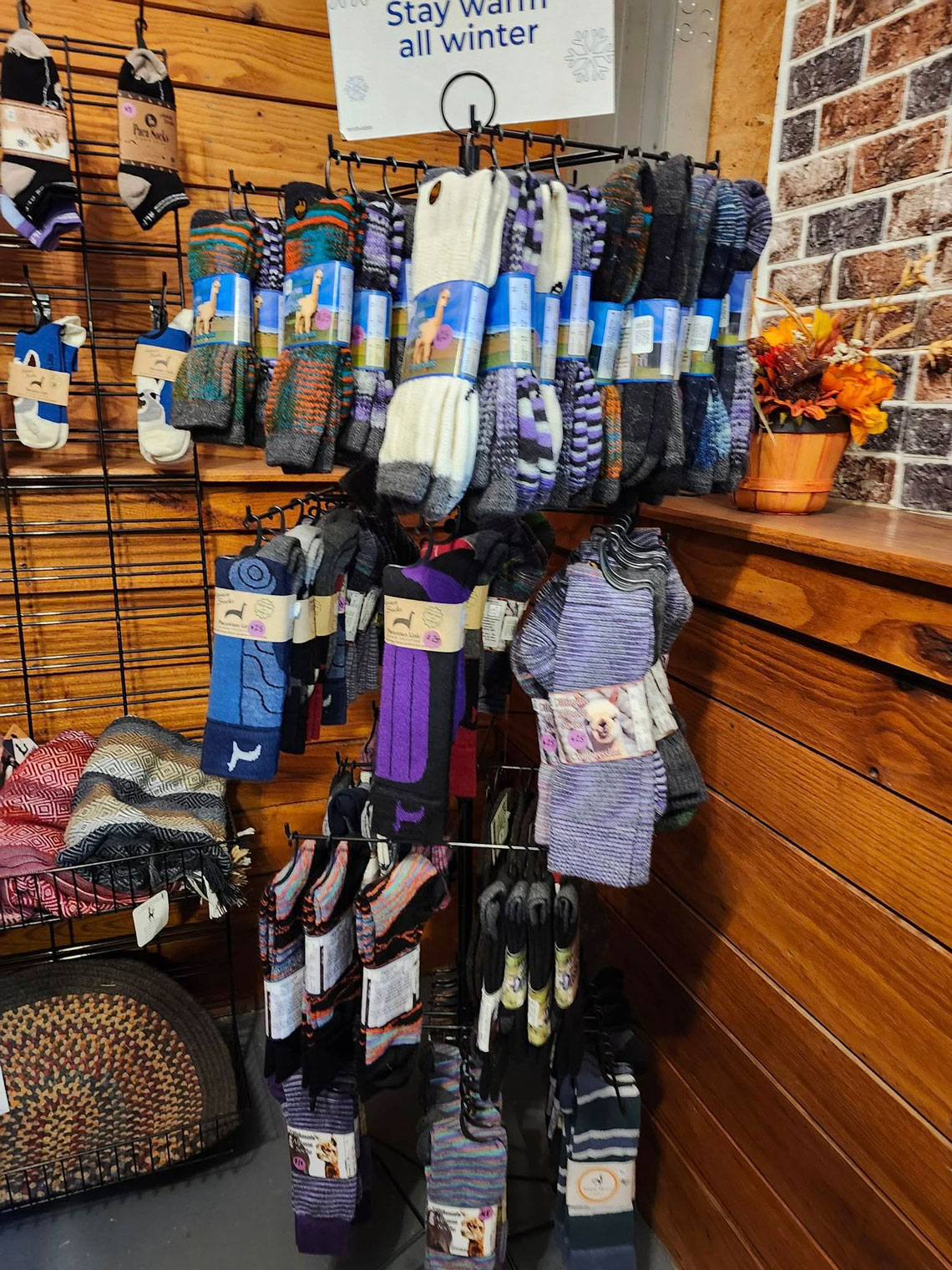 alpaca socks in store