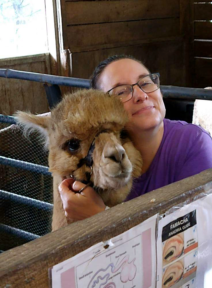Alpaca and friend in a barn smiling at the camera
