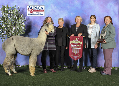 APP OSA Phorged Steel