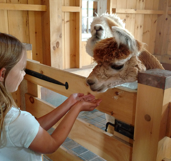 Applewood Lane Alpacas, Inc