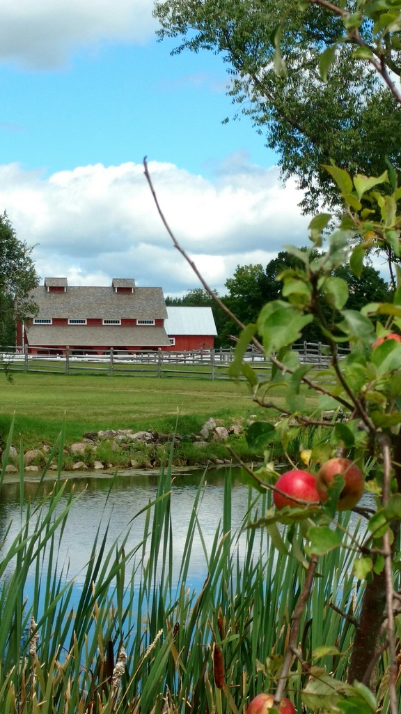Applewood Lane Alpacas, Inc