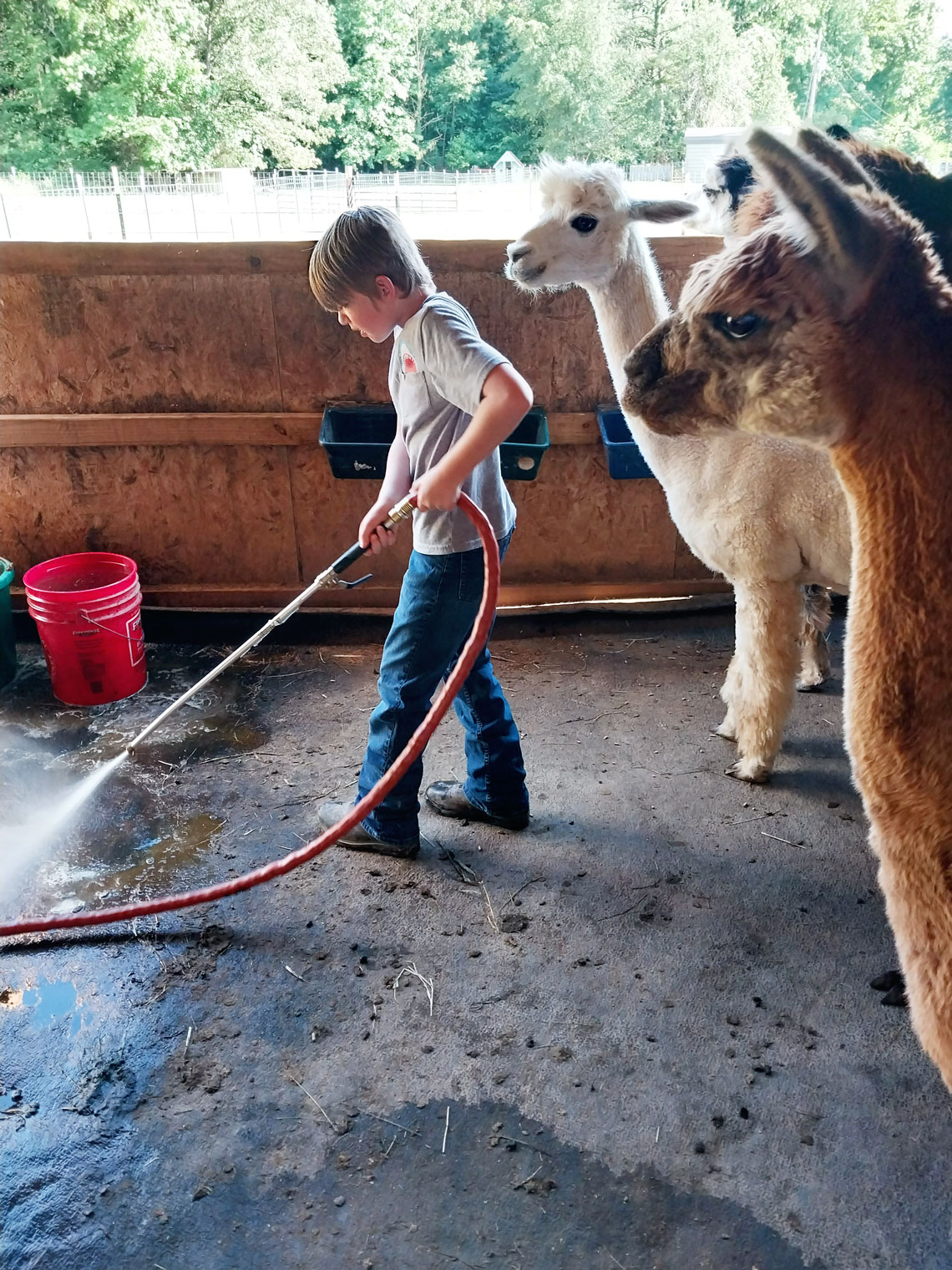 young boy working at Arella Farm