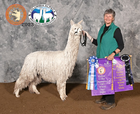 AWH POSEIDON'S EYE OF THE TIGER