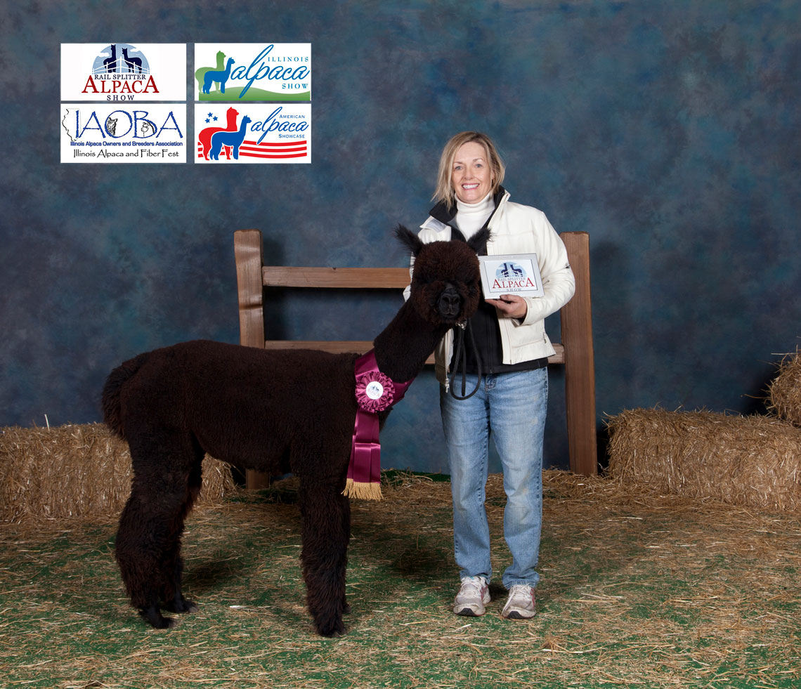 Quintessential Judge's Choice black female