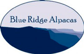 Blue Ridge Alpaca Ranch, LLC Logo