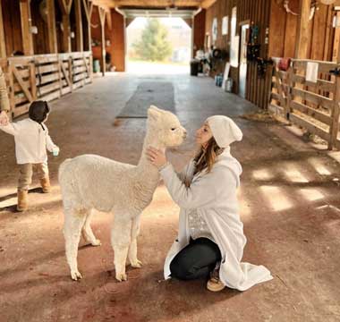 Buck Brook Alpacas Logo