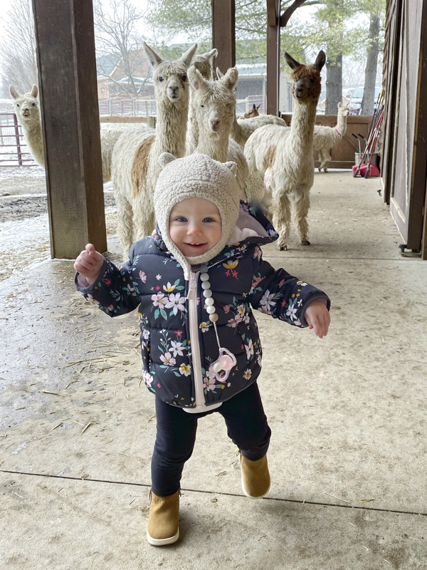 Learning To Walk With Alpacas