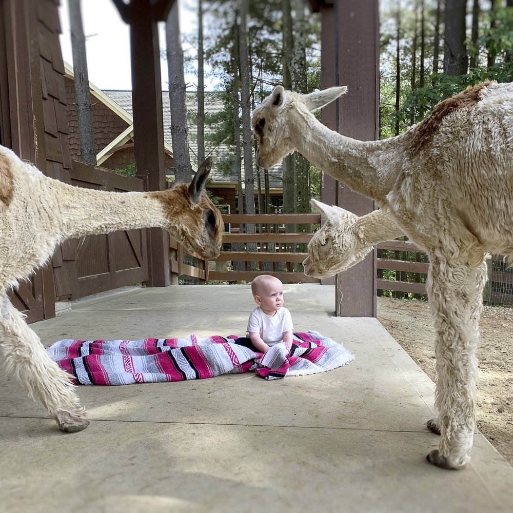 Checking Out The New Kid