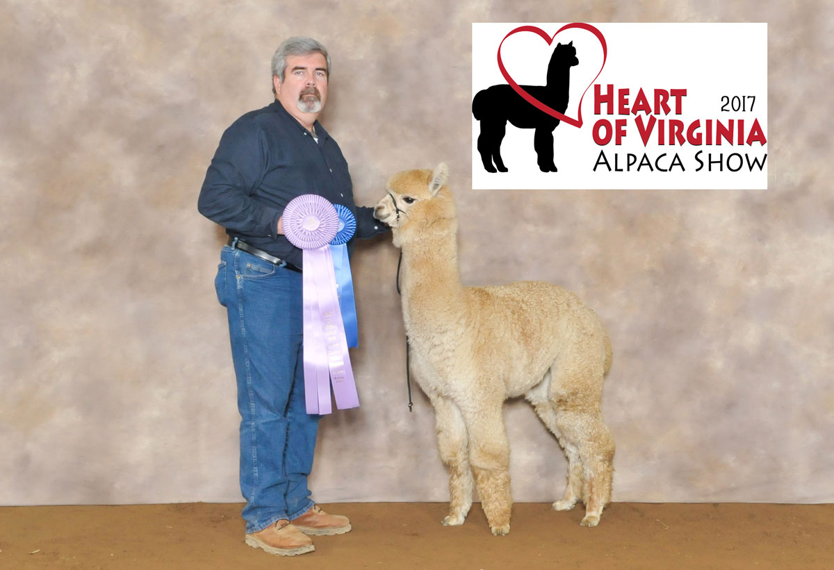 Gary and Fawn Alpaca