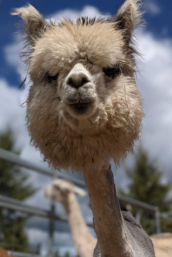 My friends call me Bobble!