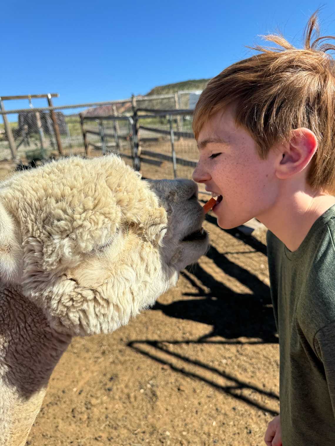 Probee gives kisses. Come get yours.