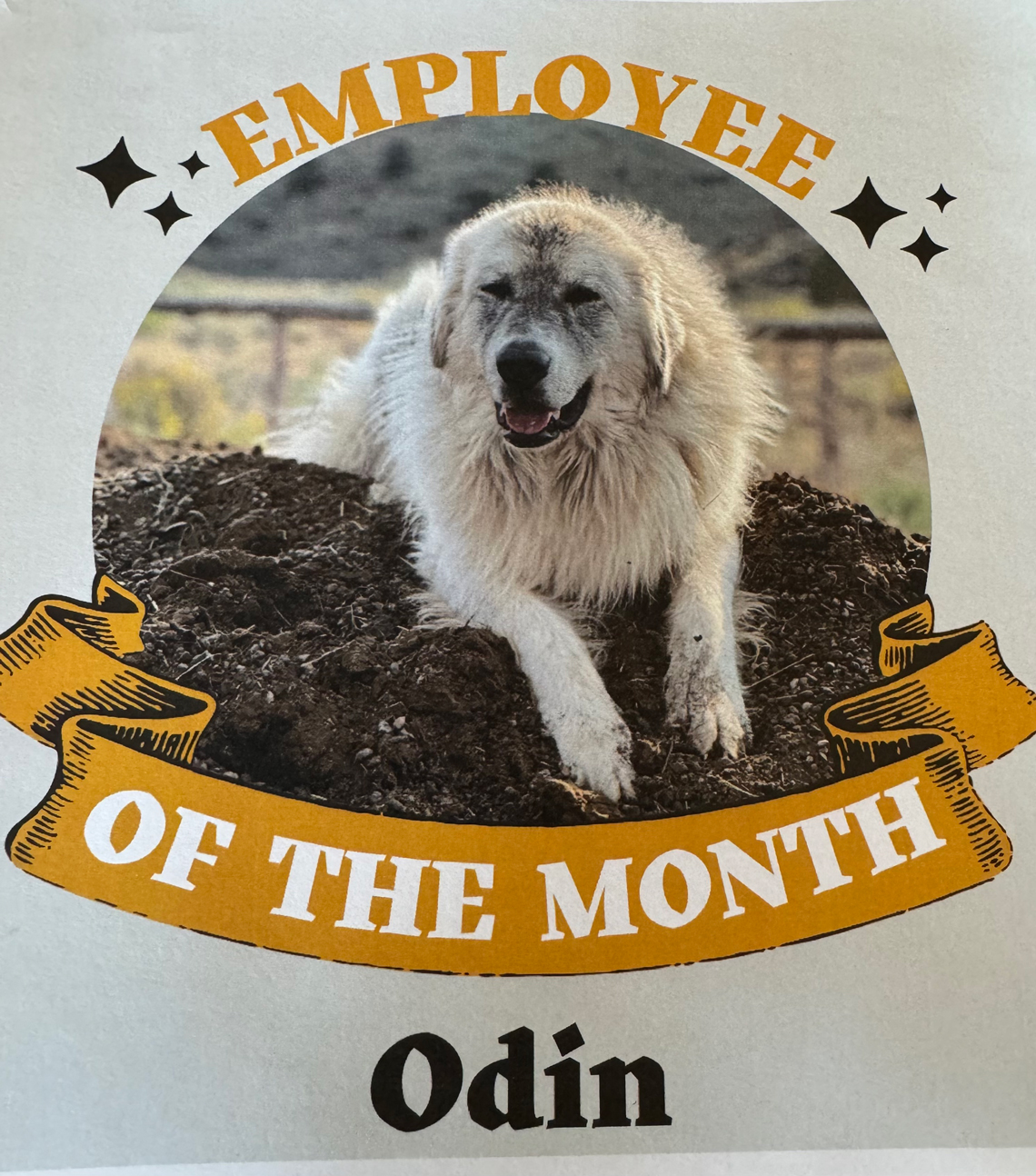 Who will be the Employee of the Month when you visit?