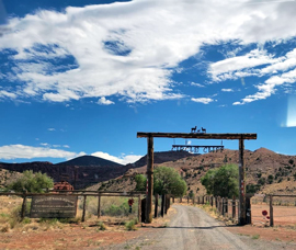 Circle Cliff Ranch Alpacas Logo