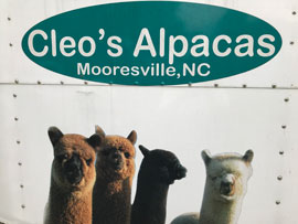 Cleo's Alpacas, LLC Logo