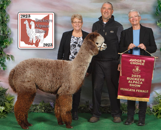 CNTRL Tristan's Ivy Rose