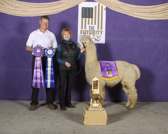 CRESCENT MOON's Snowdrop