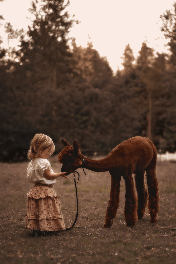 Sometimes we just need a snack break