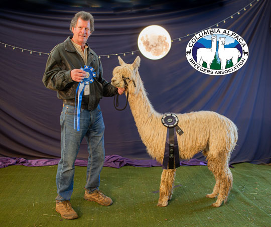 EL DORADO GOLDEN CLOUD