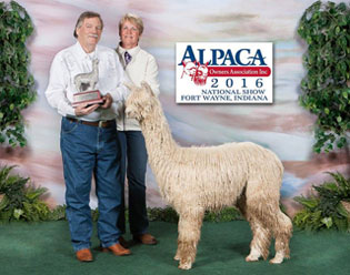 Electrofyre's Cosmic Dust