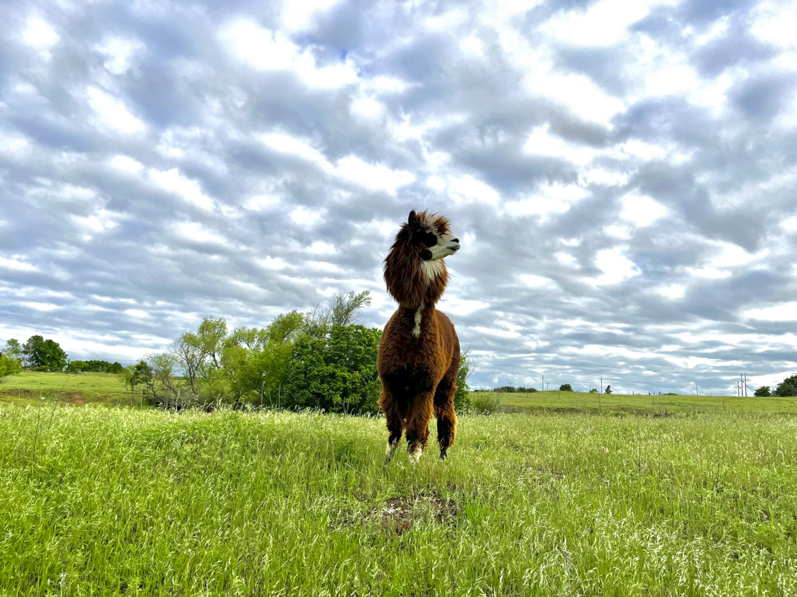 The Unpredictable Weather of Spring