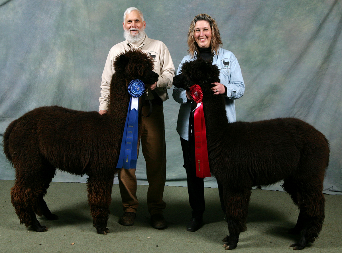 Greenbriar Farm Alpacas