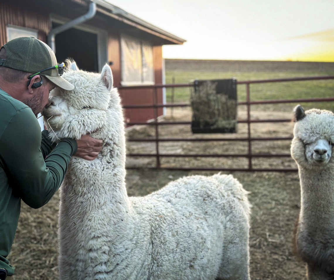 Golden Hour Serenity