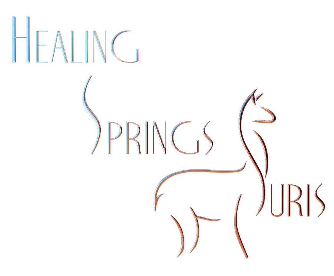 Healing Springs Suris