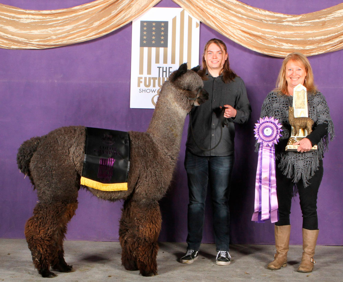 Heart and Soul at the Futurity Show