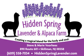 Hidden Spring Lavender & Alpaca Farm Logo
