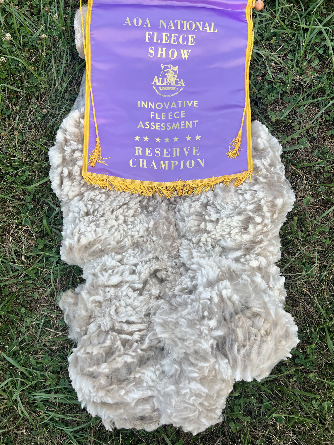 Champions live here!