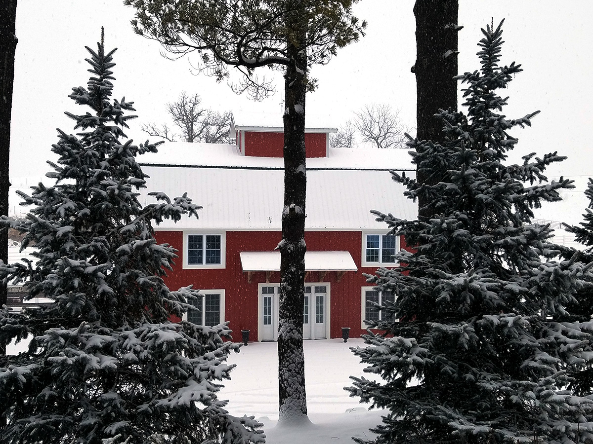 Irish Meadows Alpaca Farm Alpaca Boutique