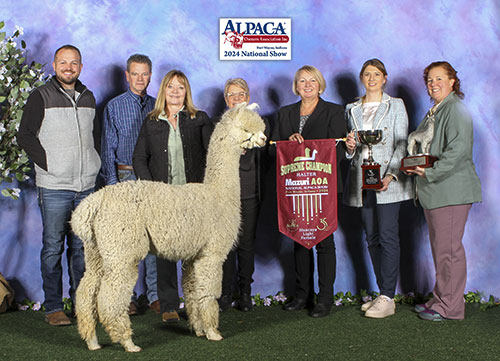 Irish Meadows' Ambrosia