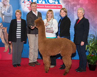 Irish Meadows' Perfectly Posh