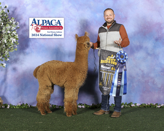 IRISH MEADOWS' Urban