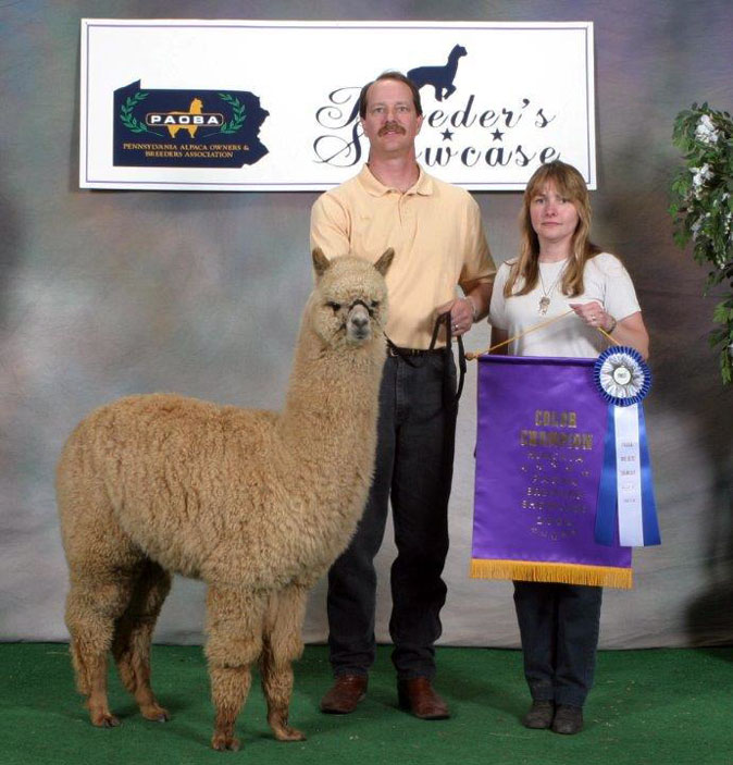 Kendall Creek Farms Alpacas