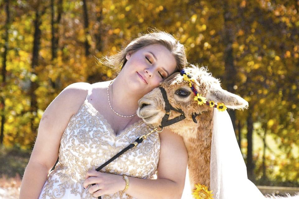 Fall Alpaca wedding