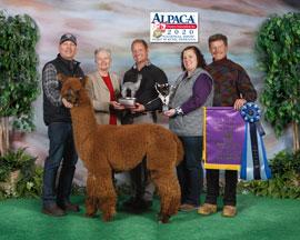 Liberty Alpacas Logo