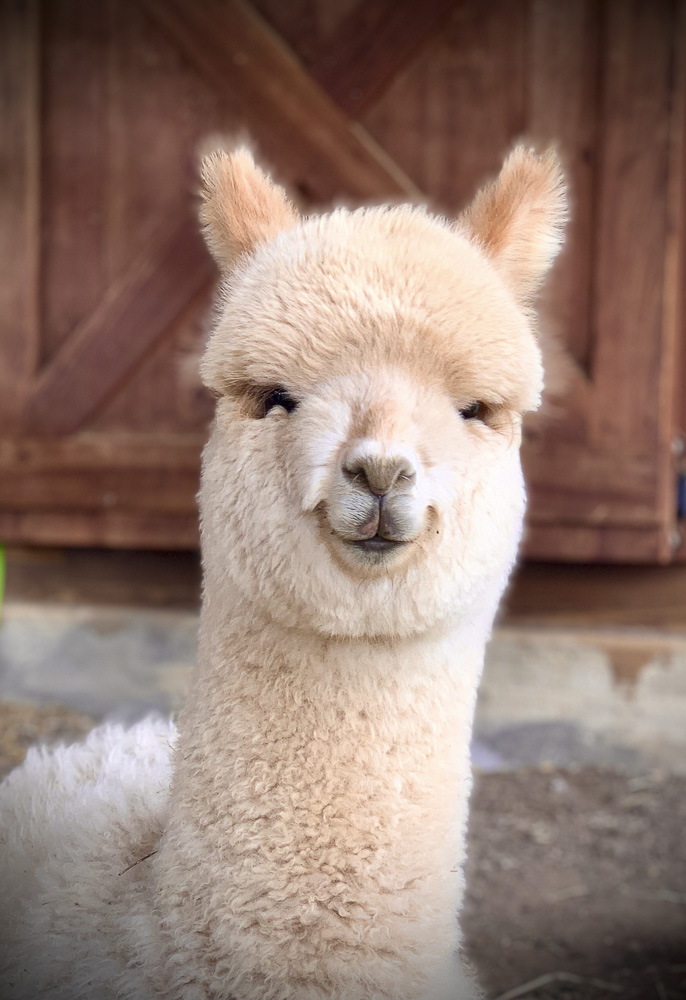 Smiling is my favorite thing to do!