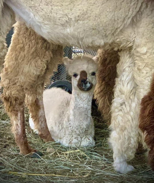 I'm hoping no one will find me hiding here.