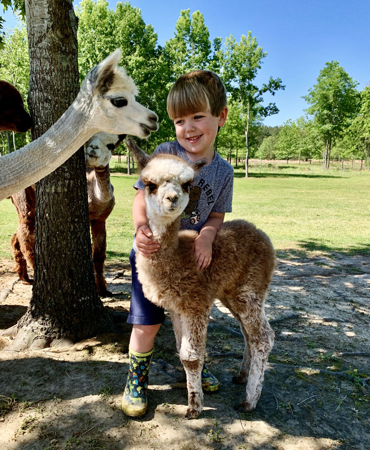 Field Trips — How to get in with schools and homeschoolers