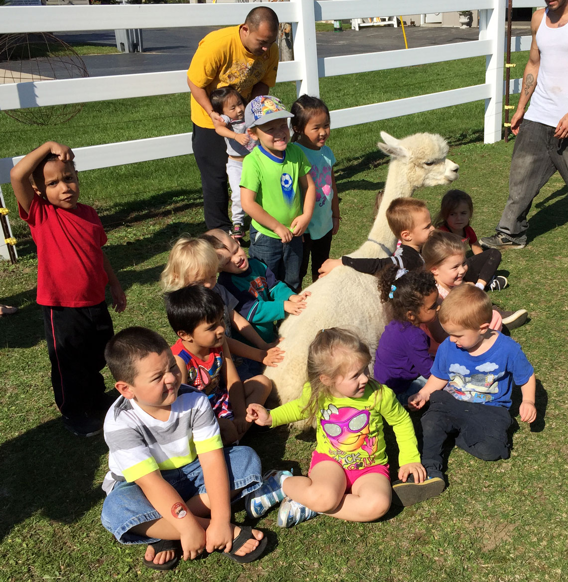 a youth group at LondonDairy Alpacas