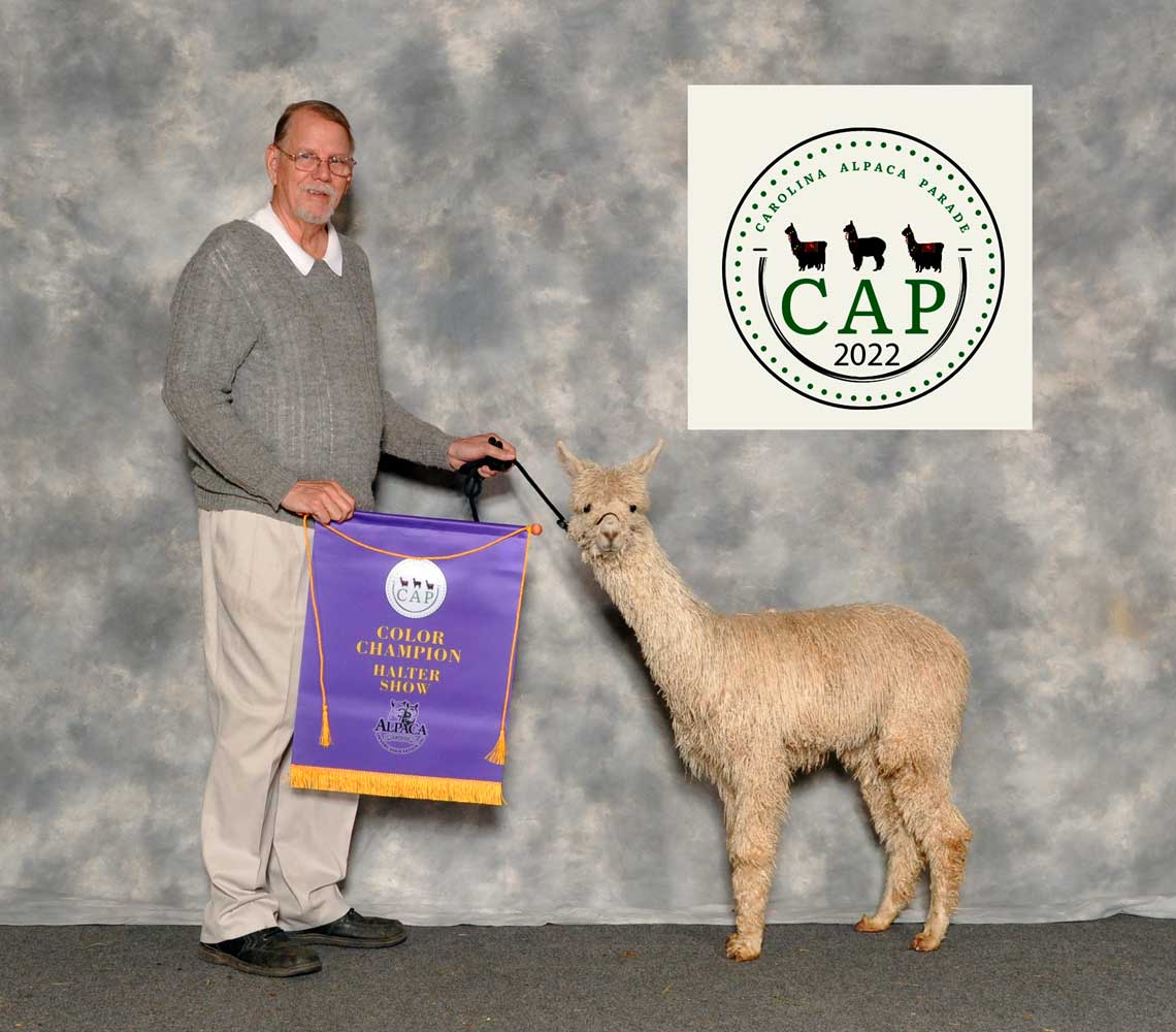 LHSA Pandora's Pax - Color Champion