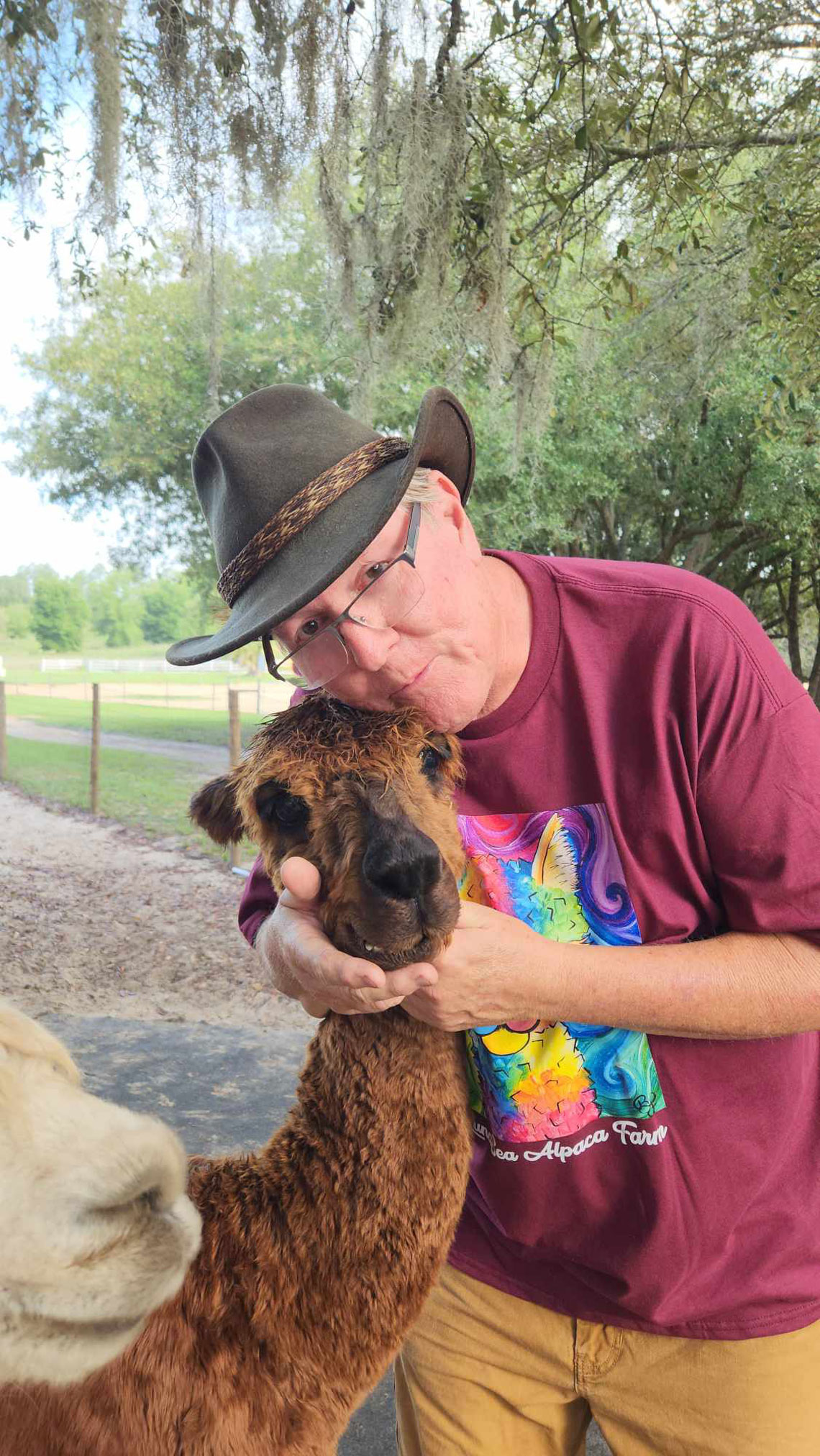 Family-run Alpaca Farm